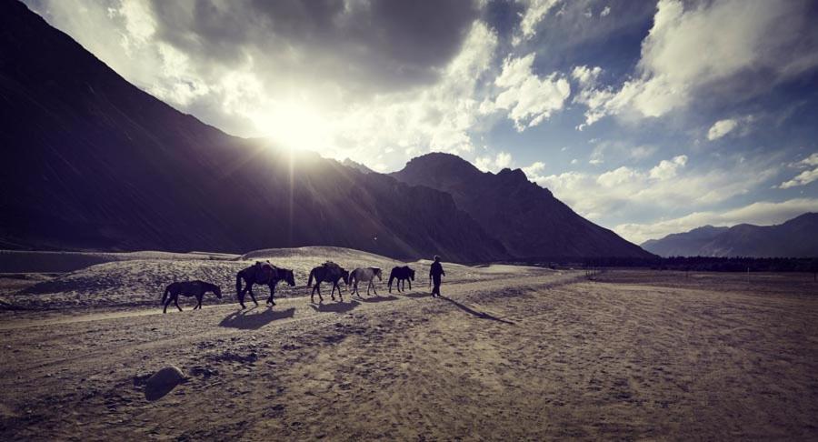 Chamba Camp Diskit Thung lũng Thung lũng Nubra Ngoại thất bức ảnh