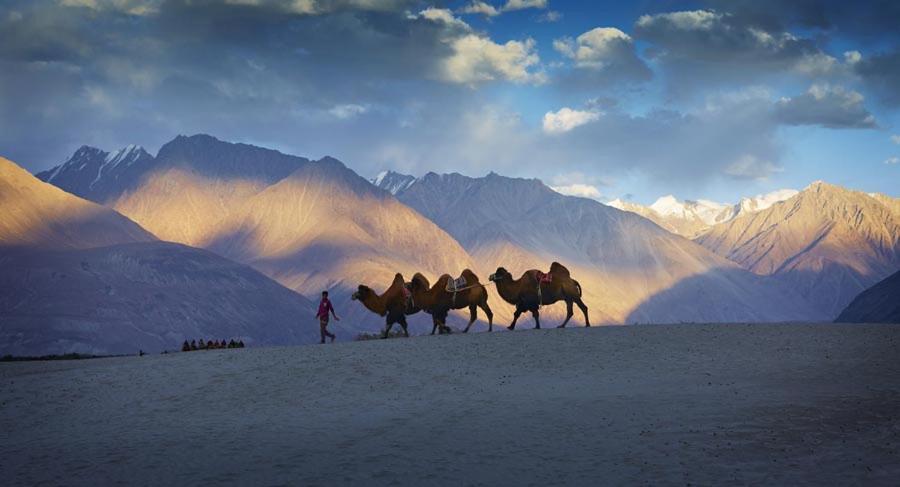 Chamba Camp Diskit Thung lũng Thung lũng Nubra Ngoại thất bức ảnh