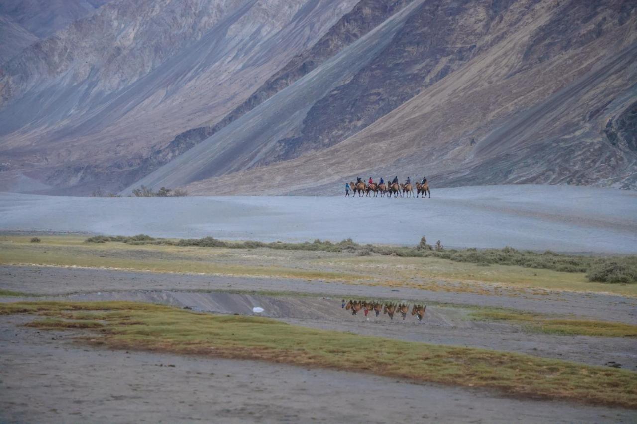 Chamba Camp Diskit Thung lũng Thung lũng Nubra Ngoại thất bức ảnh