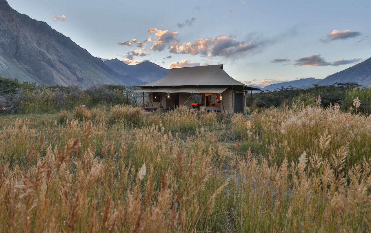 Chamba Camp Diskit Thung lũng Thung lũng Nubra Ngoại thất bức ảnh